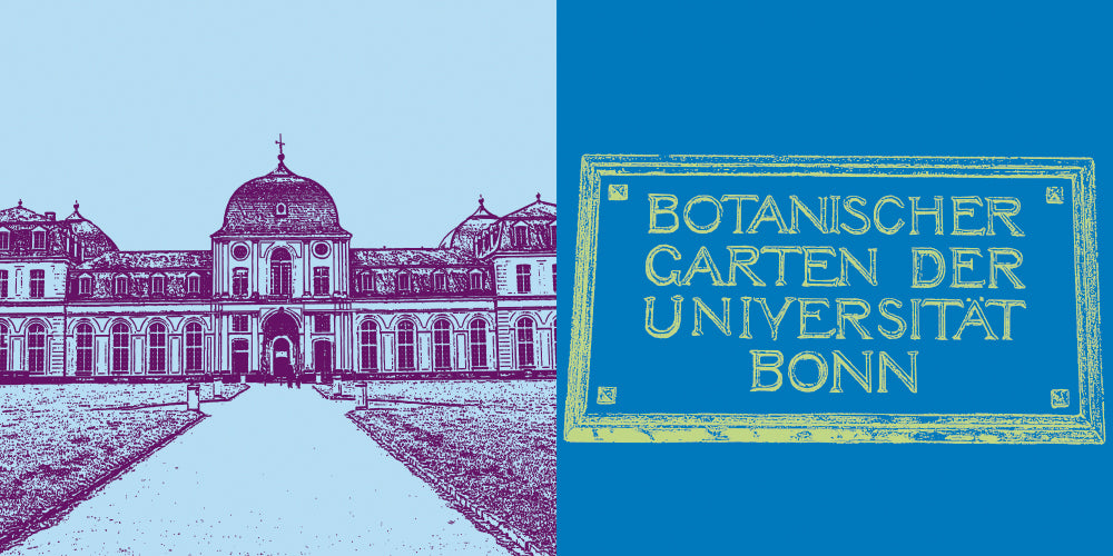 Leinwandbild Classics - Deutschland - Bonn - 20112